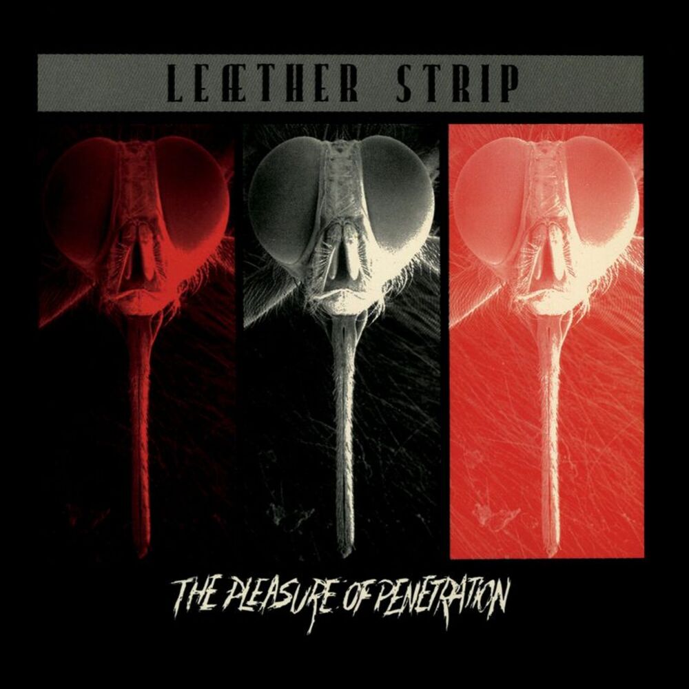 Leather Strip - The Pleasure of Penetration  LP LP